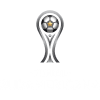 Copa Sudamericana