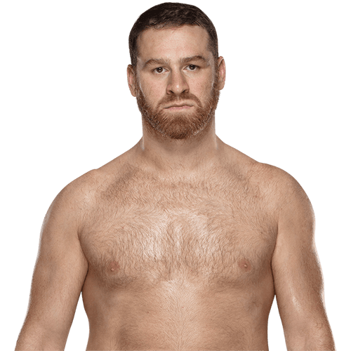 Imagem de Sami Zayn